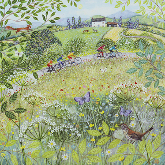 Skylark - Countryside Cycling
