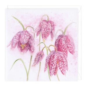 Snake's Head Fritillary