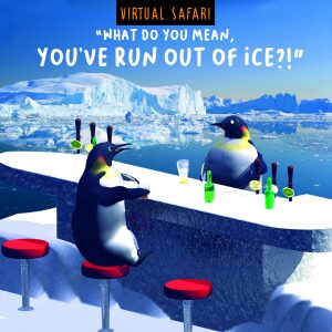 Ice