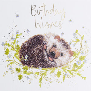 Hedgehog Birthday Card