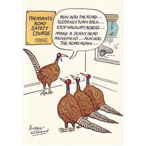 Road Safety