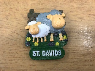 St Davids Sheep magnet