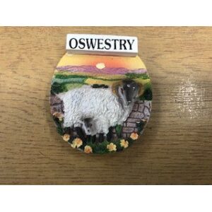 Oswestry ram and baby magnet