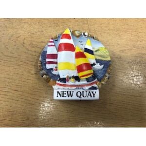 Newquay Sailboats Magnet