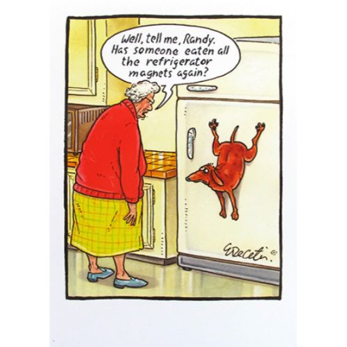 Lost The Plot - Fridge Magnets Humorous Card
