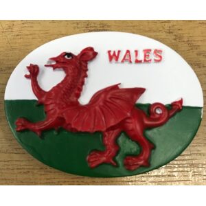 Wales Flag oval resin magnet