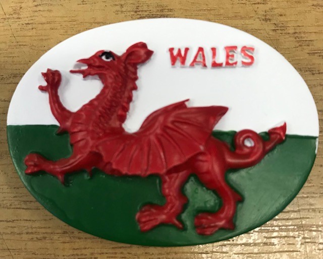 Wales Flag oval resin magnet