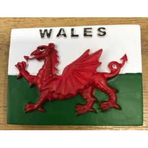 Wales Flag Resin Rectangular Magnet