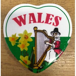 Wales Harp Magnet