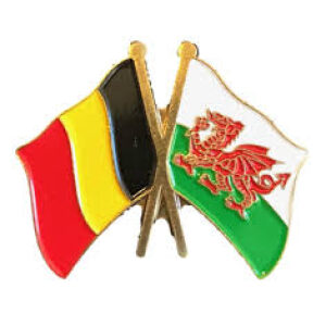 Wales & Belgium Friendship Flag Lapel Pin Badge