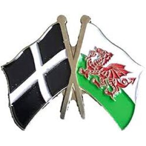 Wales & Cornwall Friendship Flag Lapel Pin Badge