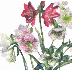 Mixed Amaryllis And Hellebore