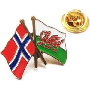 Wales & Norway Friendship Flag Lapel Pin Badge