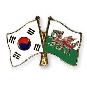 Wales & South Korea Friendship Flag Lapel Pin Badge
