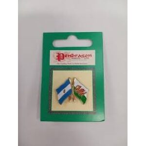 Wales & Argentina Friendship Flag Lapel Pin Badge