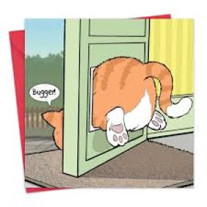 Fat Cat