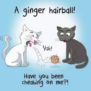 Ginger Hairball