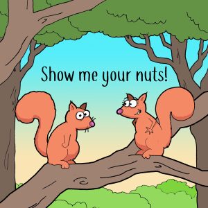Show me your Nuts