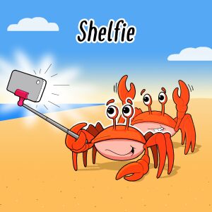 Shelfie