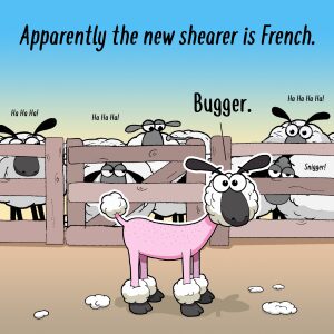 New Shearer