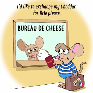 Cheddar for Brie