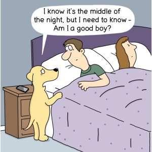 Middle of the Night