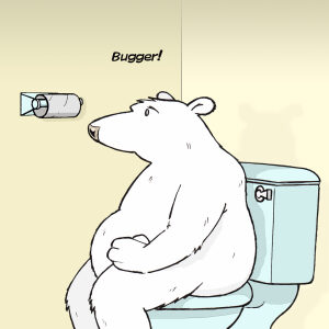 No Toilet Paper