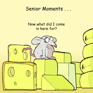 Senior Moments