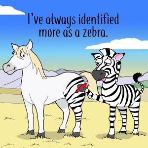 Identified More as a Zebra