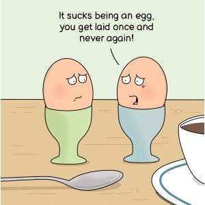 It Sucks Being an Egg