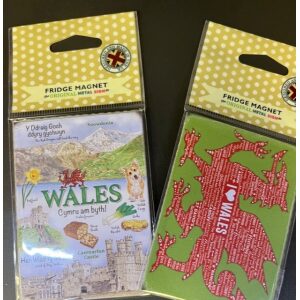 Wales Fridge Magnet- choice of 2 designs