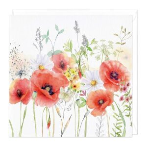 Meadow Poppies