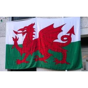 Welsh flag 2 X 3 Ft Heavy Manav