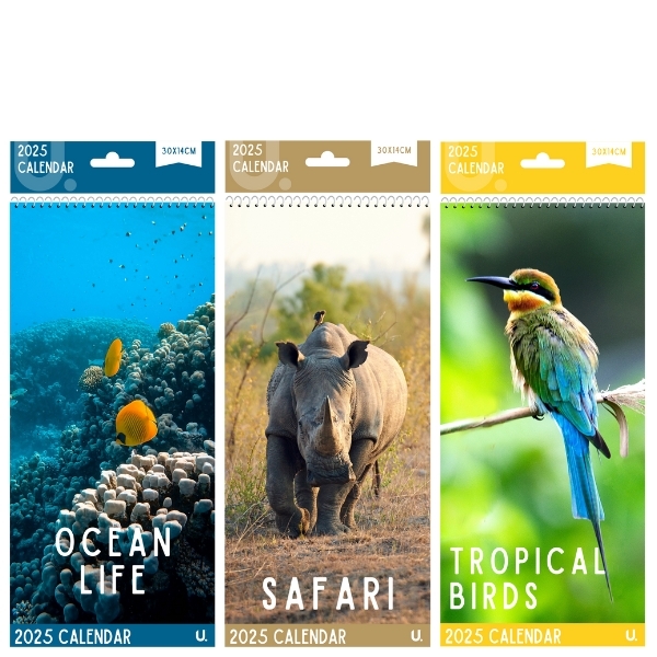 Ocean Life 2025 Calendar 30 x 14cm