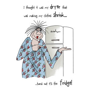 Dryer Making My Clothes Shrink