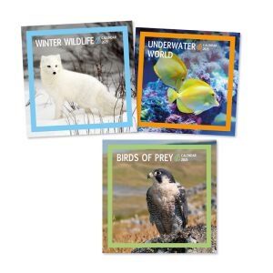 2025 Square Wildlife Calendar - Various Designs